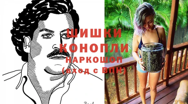 индика Нязепетровск