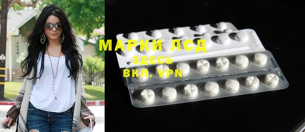 индика Нягань