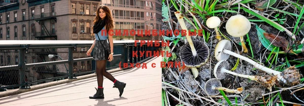 индика Нязепетровск