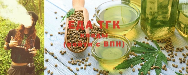 индика Нягань