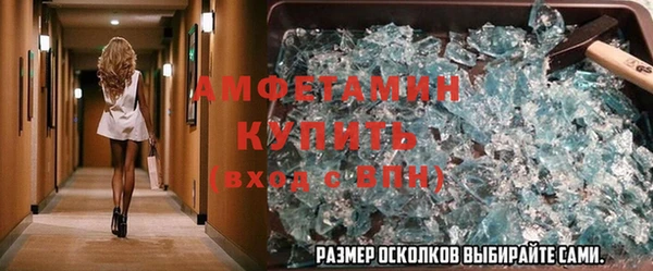 индика Нягань