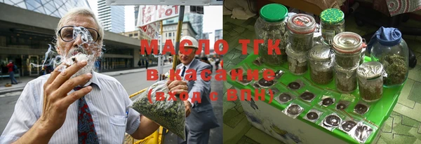 индика Нягань