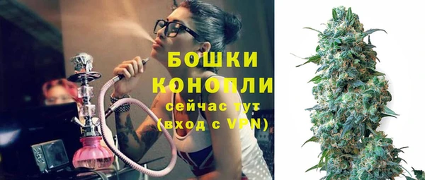 индика Нягань