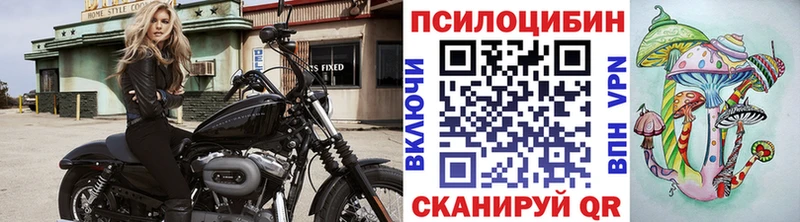 Купить закладки  Светогорск  Псилоцибиновые грибы ЛСД 